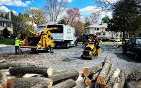 Best Firewood Processing and Delivery  in Leonardtown, MD