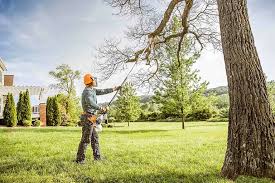 Best Commercial Tree Services  in Leonardtown, MD