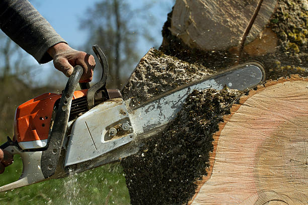 Best Aeration Services  in Leonardtown, MD